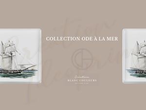 Creations blanc couleurs