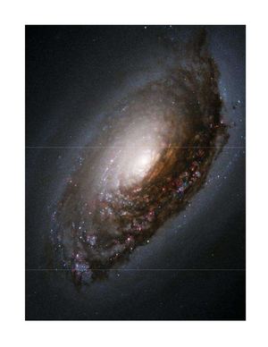 Disturb The Universe: The Collected Essays of Adam Fieled