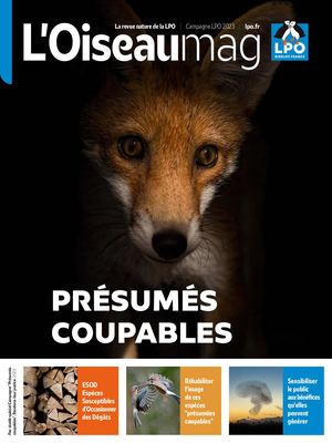 OISEAU MAG 150 Extrait - Dossier « Présumés coupables »