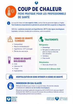 [TNN] Coup de chaleur - Fiche pratique