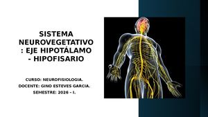 Semana 13 Sistema Neurovegetativo Neurofisiologia Corregido