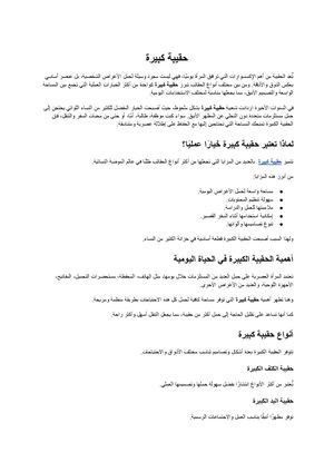 حقيبة كبيرة