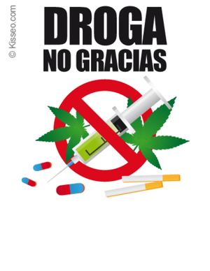 ÍNdice 1