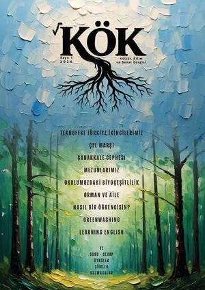 KÖK: Kültür, Bilim ve Sanat Dergisi (Sayı: 1/2026)