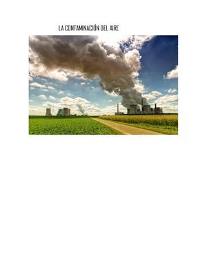 La Contaminación Del Aire