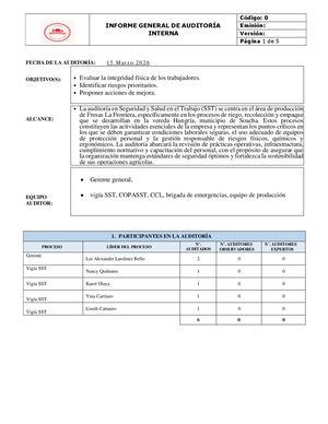 Informe De Resultados Auditoria