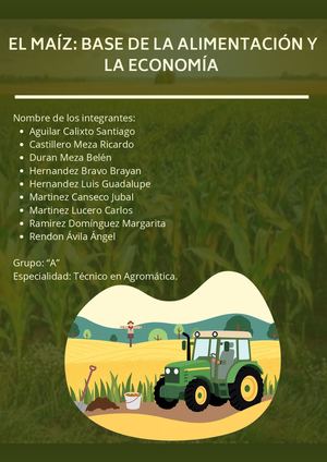 Importancia Del Maíz En La Mixteca