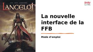 Interface Ffb Mode D'emploi