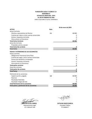 Estado Financiero De Apertura