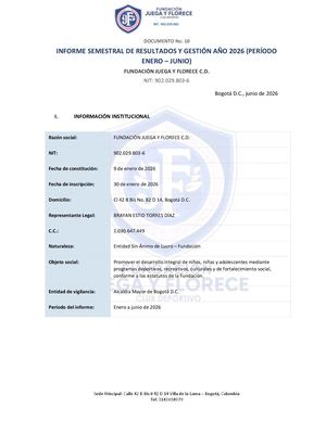 Informe De Gestion