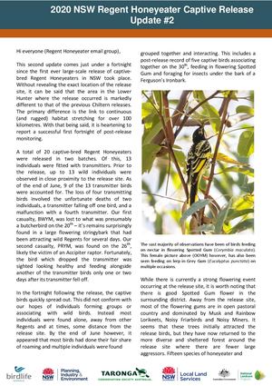 2020 NSW Regent Honeyeater Captive Release - Community Update #2