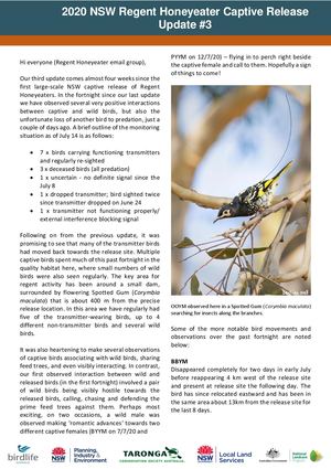 2020 NSW Regent Honeyeater Captive Release - Community Update #3