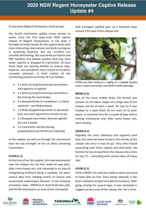 2020 NSW Regent Honeyeater Captive Release - Community Update #4