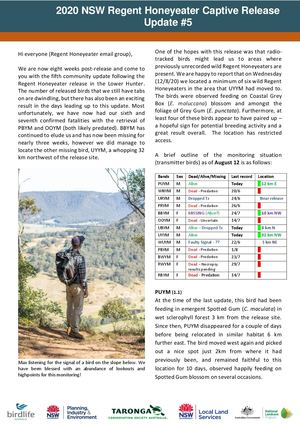 2020 NSW Regent Honeyeater Captive Release - Community Update #5
