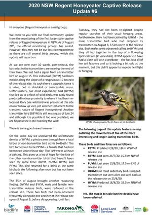 2020 NSW Regent Honeyeater Captive Release - Community Update #6