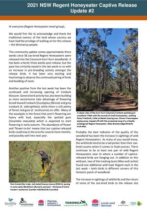 2021 NSW Regent Honeyeater Captive Release - Community Update #2