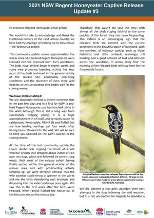 2021 NSW Regent Honeyeater Captive Release - Community Update #3
