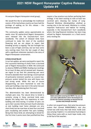 2021 NSW Regent Honeyeater Captive Release - Community Update #4