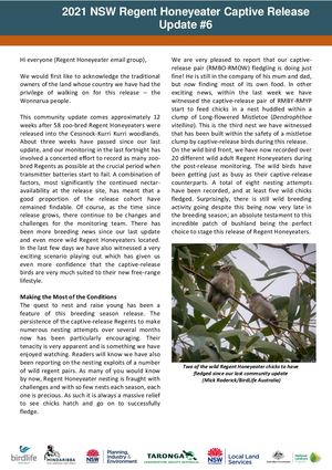 2021 NSW Regent Honeyeater Captive Release - Community Update #6