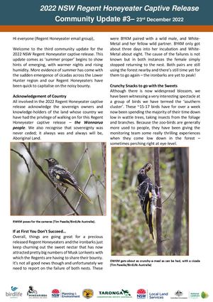 2022 NSW Regent Honeyeater Captive Release - Community Update #3