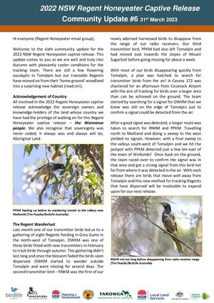 2022 NSW Regent Honeyeater Captive Release - Community Update #6