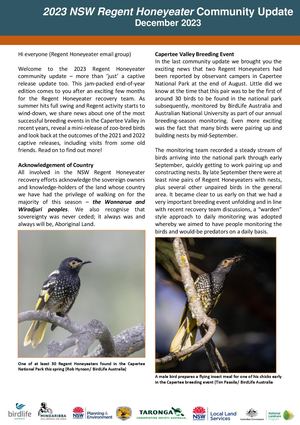 2023 NSW Regent Honeyeater Community Update December 2023