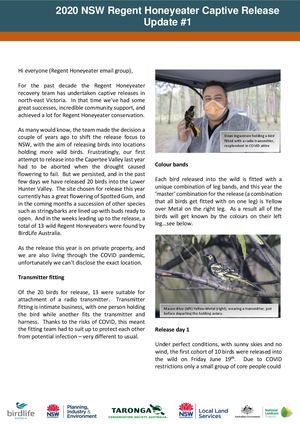 2020 NSW Regent Honeyeater Captive Release - Community Update #1