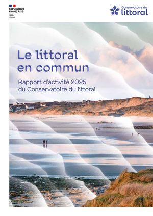 Rapport d'activité