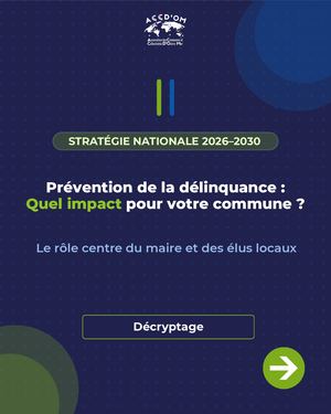 Stratégie Délinquance
