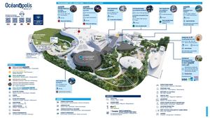 Plan-programme animations été 2026
