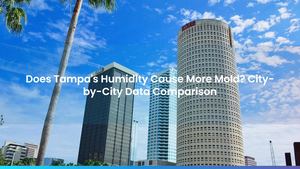 Does Tampa's Humidity Cause More Mold? City-by-City Data Comparison