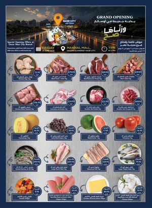 Oscar Nasr City Opening Offers