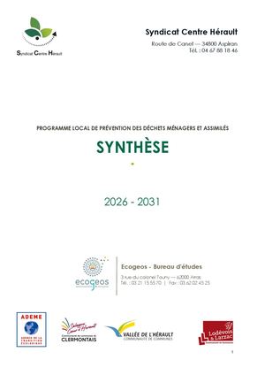 Synthèse du PLPDMA 2026-2031