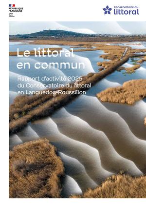 Rapport d'activité Languedoc-Roussillon