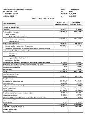 Rapport Financier Ligue de l'Enseignement