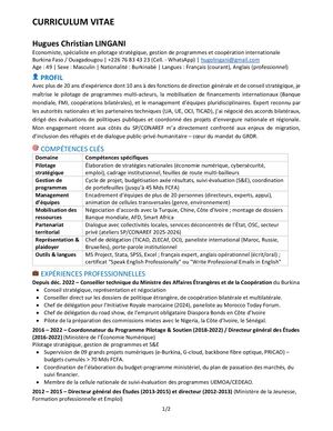 Lingani Cv Directeur