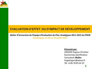 Evaluation D'effets Et D'impact Hugues Christian Lingani