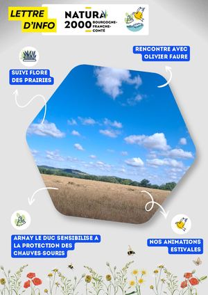 Lettre Info Natura 2000 - Juin 2026