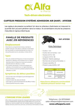 FLY CAPMAP AF01358