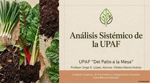 Análisis Sistémico UPAF presentación