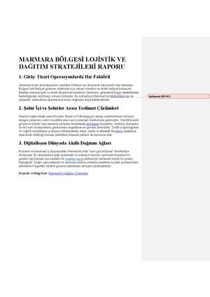 Marmara Bölgesi̇ Loji̇sti̇k Ve Dağitim Strateji̇leri̇ Raporu