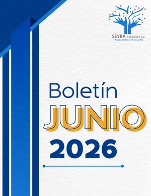 Boletin Junio 2026 - Seyra Asesores