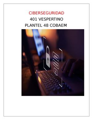 Ciberseguridad