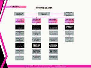Organigrama Criminova
