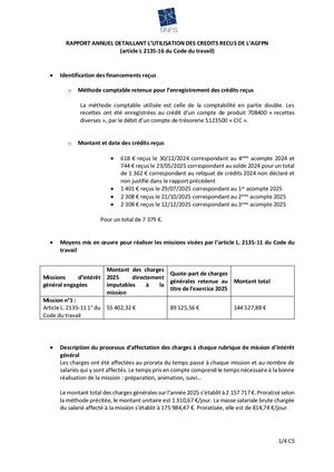 Rapport 2026 Agfpn Du Snfs Sur Exercice 2025 Signé Par Cs