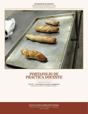 Portafolio Practica Docente