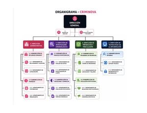 Organigrama3