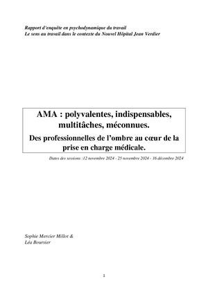 Rapport Final Ama Hjv Sm Et Lb 2025