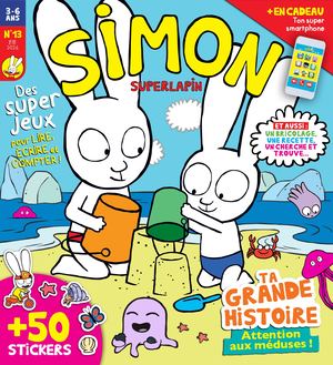 Simon13 Pages