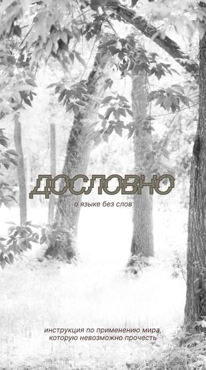 дословно